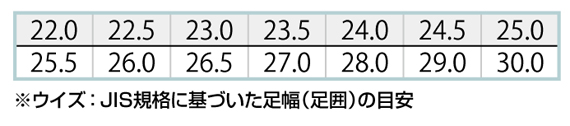 【AZ51626】 耐油・耐滑・静電機能を備えた　セーフティシューズ　マジックモデル(女性サイズ対応) [アイトス]