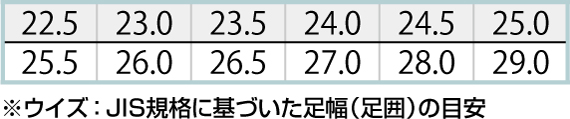 【AZ51627】 スポーティカジュアルテイスト!セーフティシューズ　(女性サイズ対応) [アイトス]