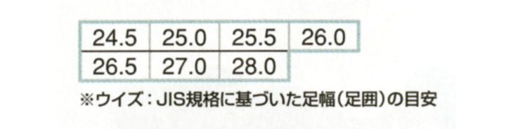 【AZ51632】 踵を踏んでもつぶれない!セーフティシューズ(マジック・先芯入り) [アイトス]