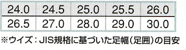  【AZ58016】 耐油性・履き心地抜群!セーフティシューズ(US490) [アイトス]