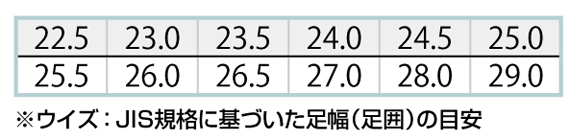 【AZ59708】 JIS T8103基準相当!静電室内履きシューズ(女性サイズ対応) [アイトス]